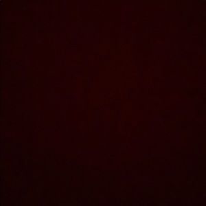 Meet your Posher, Sylvia